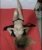 Avcılar Güzel ve Çıtır escort Melek - Image 2 Avcılar Güzel ve Çıtır escort Melek - Image 2